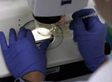 Pesquisadores temem 'desastre' na ciência com aprovação da PEC 241