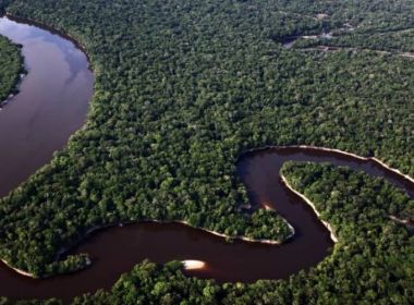 Câmara libera área para exploração na Amazônia equivalente a 3 vezes cidade de SP