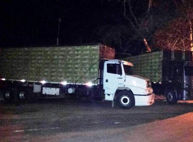 Vitória da Conquista: Adab apreende 6 mil aves transportadas sem documentação sanitária