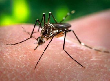 Presidente do CMS sugere subnotificação dos casos de zika por falta de atendimento em UPAs