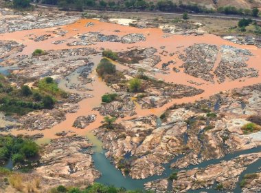 Contaminação em peixes do Rio Doce está 140 vezes acima do nível permitido