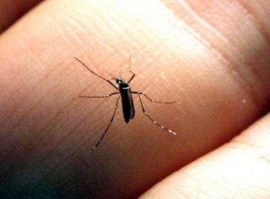 Cientistas americanos desenvolvem novo teste diagnóstico para zika