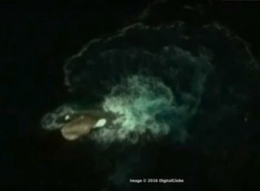 'Monstro' marinho é descoberto próximo à Antártida pelo Google Earth
