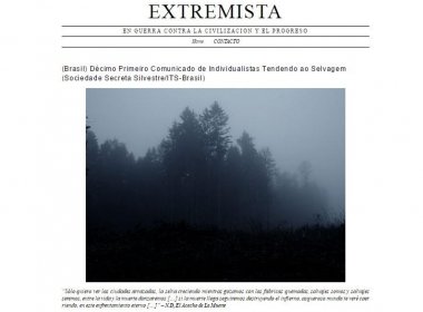 Grupo eco-extremista assume autoria de explosão de panela-bomba em Brasília