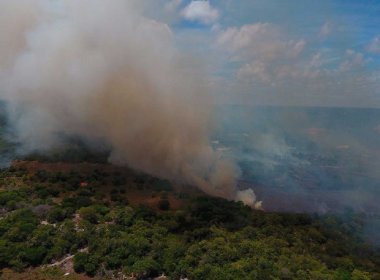 Incêndio atinge vegetação no Litoral Norte e ameaça se aproximar de casas