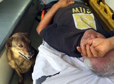 Cachorro 'reivindica' e consegue acompanhar dono em ambulância durante atendimento