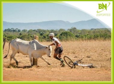 Destaque em Esportes: Vaca ataca ciclistas e volta para destruir bicicleta de competidor