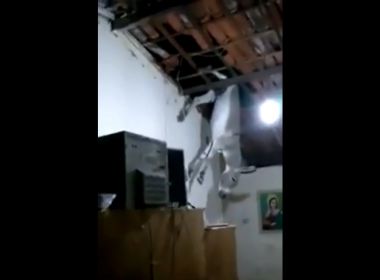 Jumento sobe em telhado de casa na Paraíba e cai na cozinha; veja vídeo
