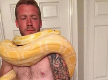 'Gesto de afeto': Homem é morto ao ser estrangulado por serpente de estimação