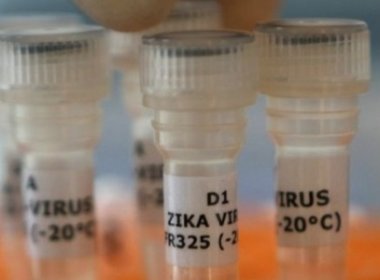 Vacina contra o zika vírus entra em fase de testes em humanos nos EUA