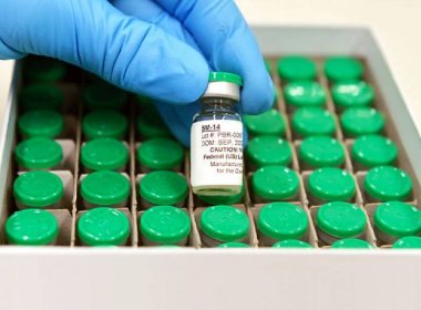 Vacina brasileira contra esquistossomose será testada em 350 voluntários