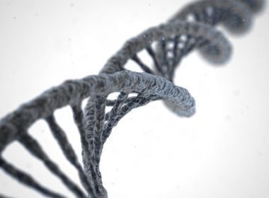 Aspectos éticos da correção de DNA precisam ser considerados, dizem especialistas