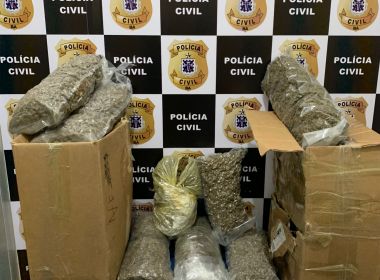 Conquista e Jequié: Polícia apreende mais de 20 kg de maconha enviados por transportadora