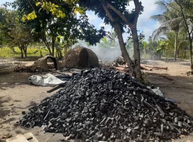 Caravelas: Operação Madeira Legal localiza quarteto acusado de produção ilegal de carvão