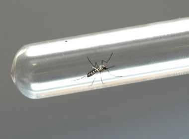 Teste rápido para detecção do Zika é incluído na tabela de procedimentos do SUS